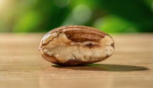 Noix du Brésil : une seule par jour suffit à couvrir vos besoins en sélénium, selon les nutritionnistes