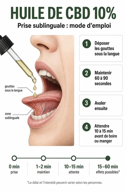 Schéma sur l’huile de cbd 10 effet et la prise sublinguale avec délai d’action